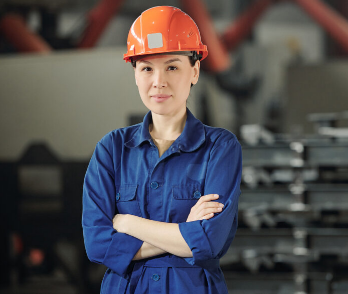expert combustibles biomasse bois