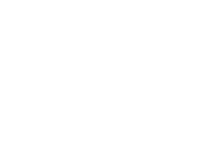 logo cnim