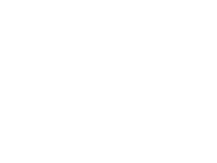 logo olam