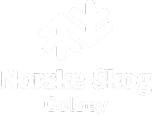 expertise Norske Skog convoyage séparation non ferreux électricité contrôle commande expert